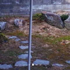 庭石の画像