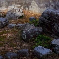 庭石の画像