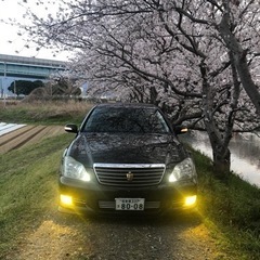 2.5Lゼロクラ後期アスリート 商談中の画像