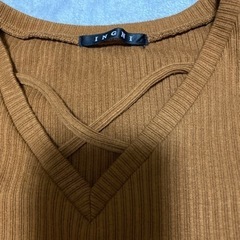 INGNI 半袖 2枚目が近いお色になりますの画像