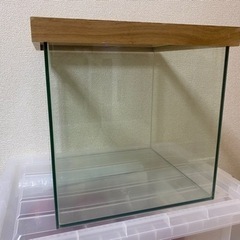 30cmキューブ水槽＋木枠メッシュ蓋　交渉中です‼︎
