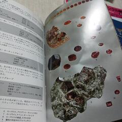 世界のジェムストーン図鑑の画像