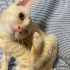 やんちゃな男の子‼️