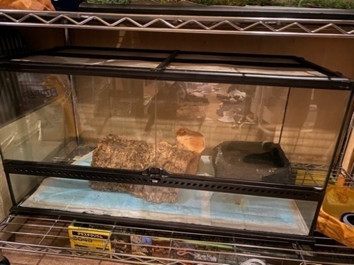 爬虫類ケージ　グラテラ9045