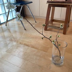 浅草ジャズサックス教室♪（都内近郊）の画像