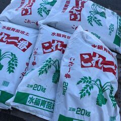 水稲育苗培土 これ一番 20kg 在庫6 の画像