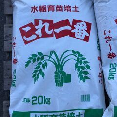 水稲育苗培土 これ一番 20kg 在庫6 の画像