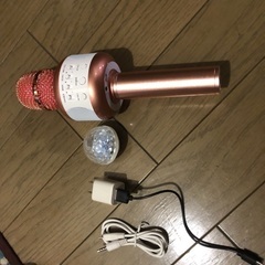 🔴1000円でお譲りします❣️エコー付き‼️マイク‼️