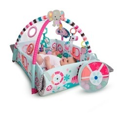 プレイジムの画像