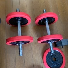 【一時値下げ不可】ダンベル 30kg 2つ【引き取り】