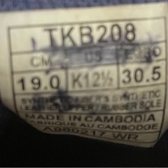 瞬足19.0 青色の画像