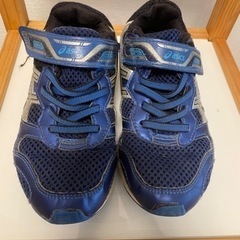 瞬足19.0 青色の画像