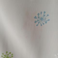 遮光カーテン　レースカーテンの画像