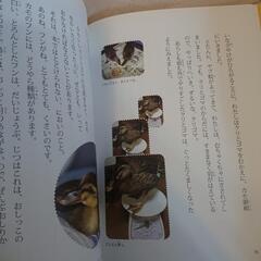 クリとゴマ   文庫本   読書感想文の画像