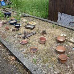 庭木庭石植木鉢（整理番号20)の画像