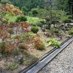 庭木庭石植木鉢（整理番号20)の画像