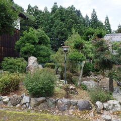 庭木庭石植木鉢（整理番号20)の画像