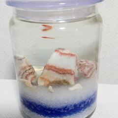 期間SALE 7日迄　ホロホロシュリンプ2匹ボトルセット 完成品