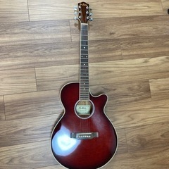 値下げしました。エレアコ　pro martin model No...