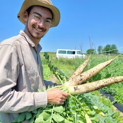 【急募】オーガニック玉ねぎの収穫作業スタッフ　7/10、7/11 限定の画像