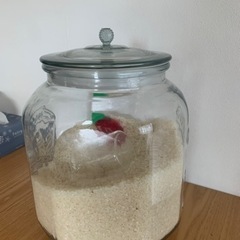 お米のジャー 5Kgの画像