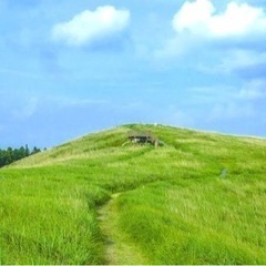 新規グループ立ち上げメンバーの募集😊🎶 - 泉佐野市