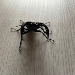 ノコギリクワガタの画像