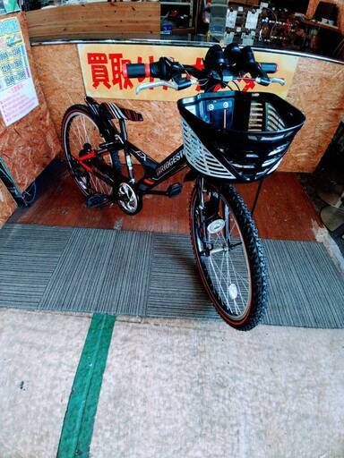 【愛品館市原店】２４インチジュニア自転車　BRIDCESTONE(ブリジストン) EX　EXJ46