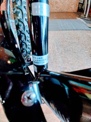 【愛品館市原店】２４インチジュニア自転車　BRIDCESTONE(ブリジストン) EX　EXJ46