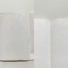 神様の値段 戦力外捜査官2 小説の画像