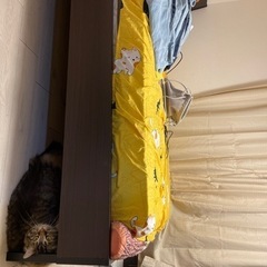 IKEAで買ってるダブルベッド