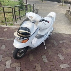 dio チェスタ 