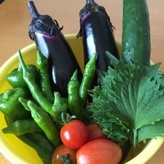 夏野菜詰め合わせ1