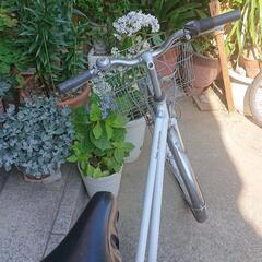 26インチ自転車   相手決まりました❗の画像