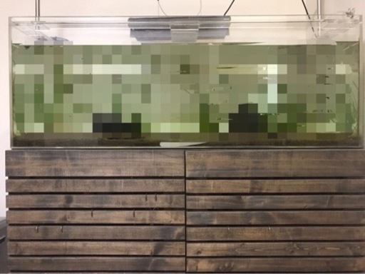 7月10日〜引き取り可能な方限定　120サイズアクリル水槽一式