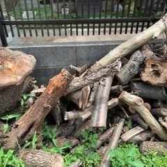 無料 薪 まき たきぎ 未乾燥木材 桜などの画像