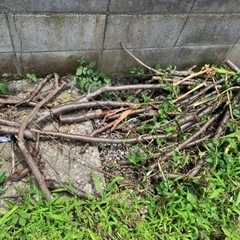 無料 薪 まき たきぎ 未乾燥木材 桜などの画像