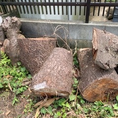 無料 薪 まき たきぎ 未乾燥木材 桜などの画像