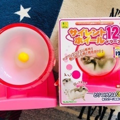【値下げ中】ハムスター類　小動物飼育セット【6/28まで引き取り可能な方】 の画像