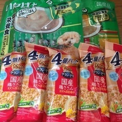 ドッグフード