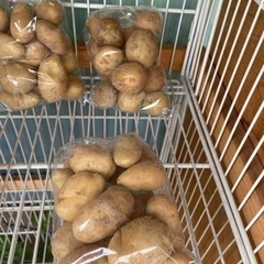 野菜100円販売★夏野菜 − 奈良県