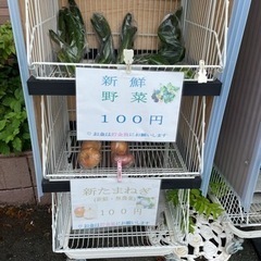 野菜100円販売★夏野菜 - その他