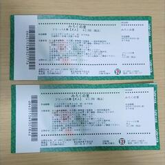 みろくの里 大人 フリーパス 2枚 セット