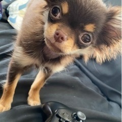 7月2日(土)、3日(日)モンハンライズサンブレイクオフ会 モンスターハンター サンブレイク オフ会 モンハン ライズ サンブレイク MHR SB  − 東京都