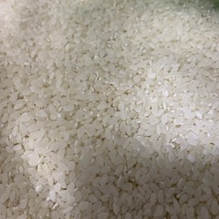 お米