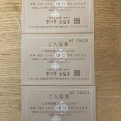十勝川温泉豊州亭.入浴券3枚セット