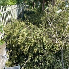 日払い⭐️18000円早い勝ち❗️の画像