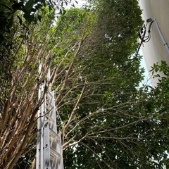 日払い⭐️18000円早い勝ち❗️