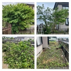 日払い⭐️18000円早い勝ち❗️の画像