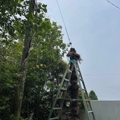 日払い⭐️18000円早い勝ち❗️の画像